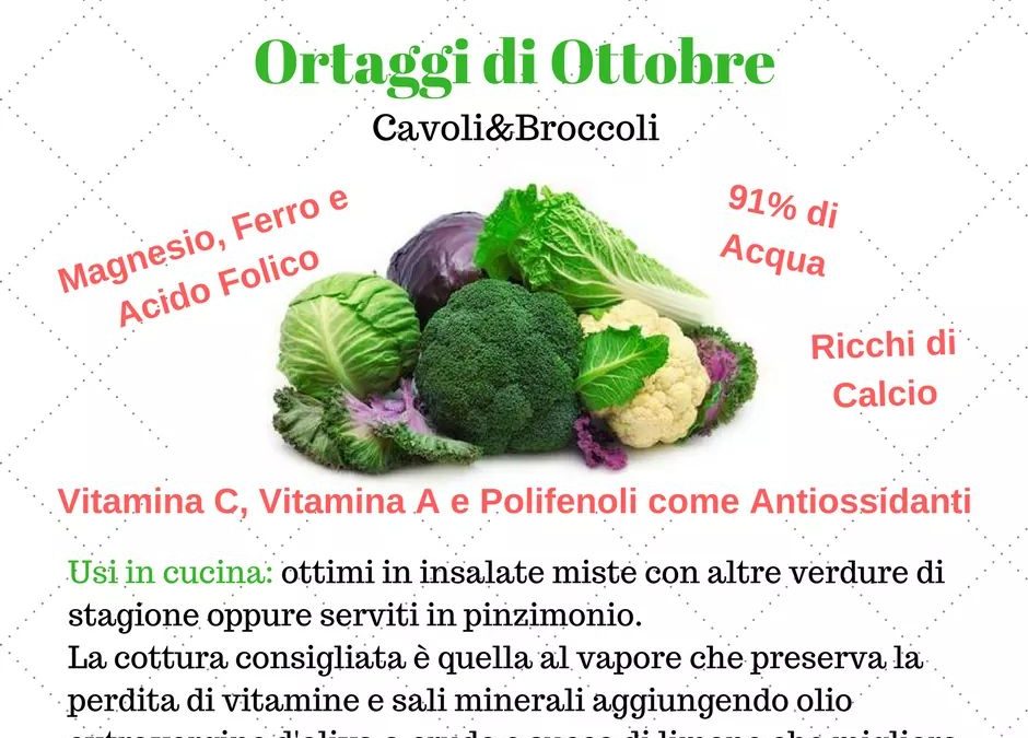 Proprietà nutrizionali degli ortaggi di Ottobre